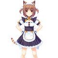 Uniform (V1)